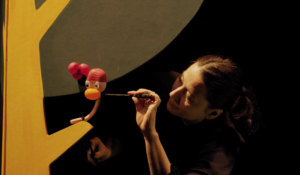 Cie du Bord de l'eau